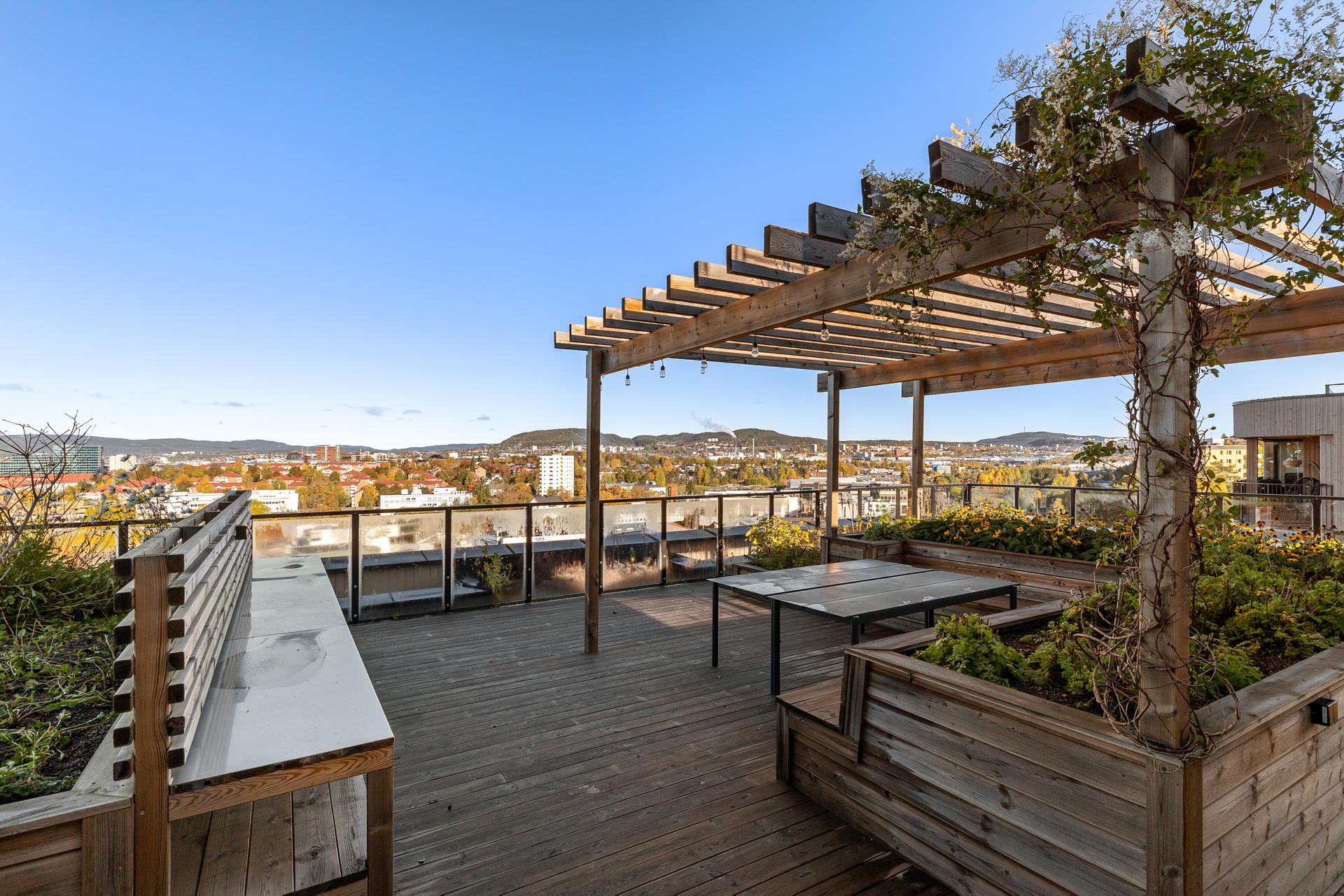 Sameiet disponerer felles takterrasser med parsellhager, pergola og utsikt over byen.. Bilde nummer 3 av 3