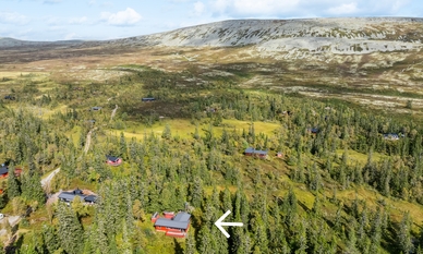 Bilde av eiendommen