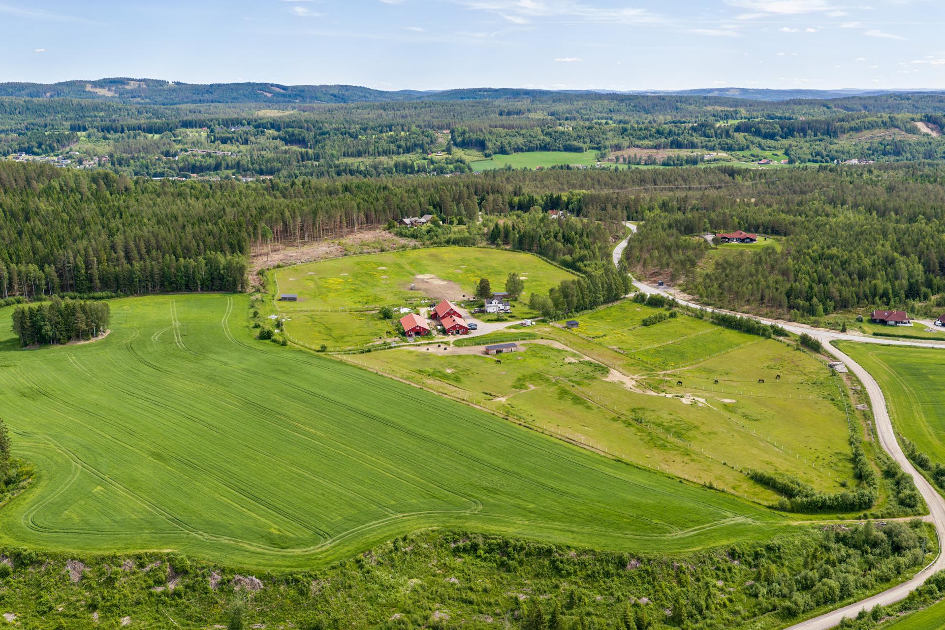  Velkommen til Skogheim! Foto: EFKT (Ole Kaldal). Bilde nummer 1 av 3