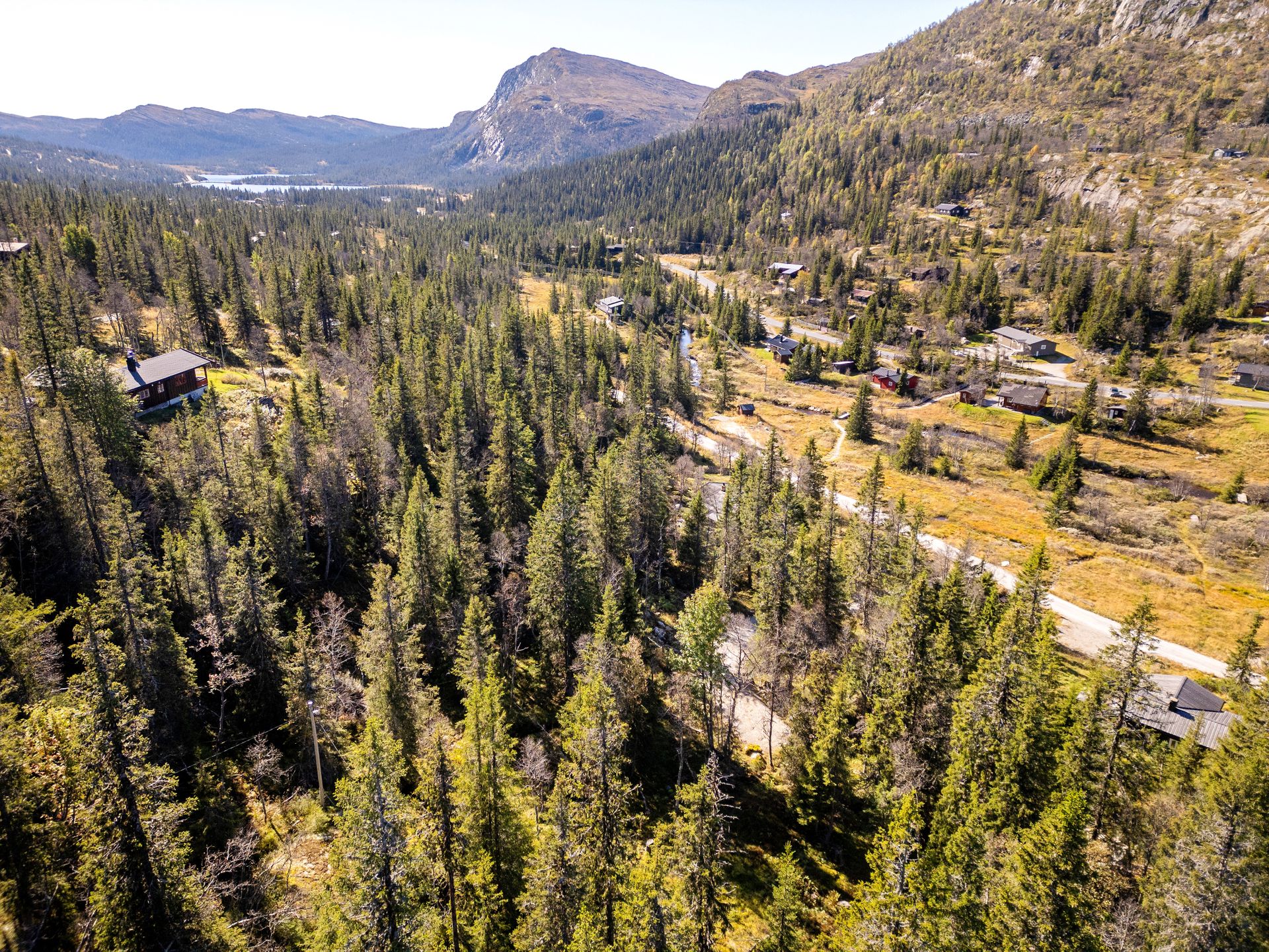Velkommen til Nedre Bergshammarlia 9 - En romslig selveiertomt på ca. 1 030 m².. Bilde nummer 1 av 3