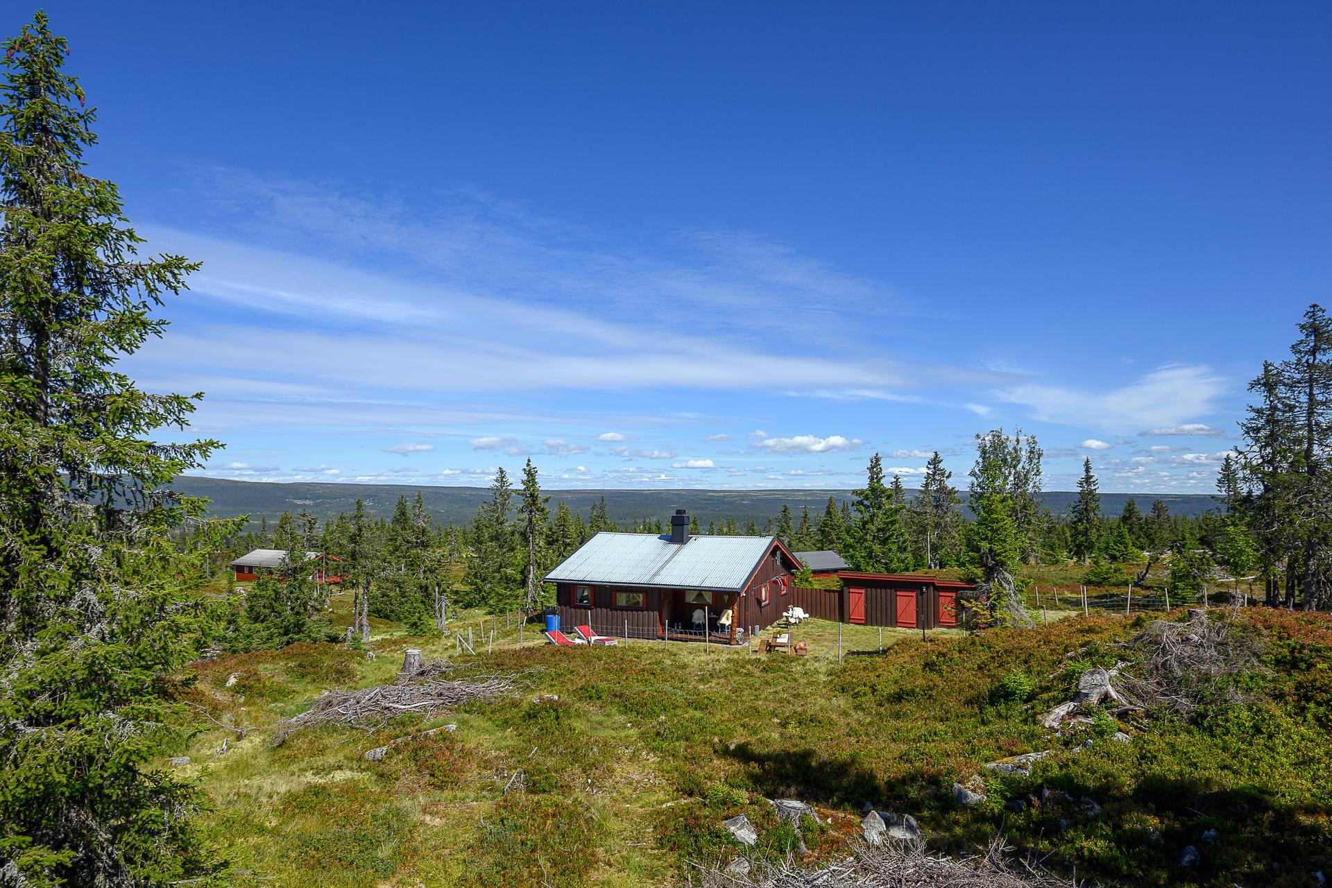 Eiendommen ligger på ca 840 moh. med skiløyper og fine turstier i nærheten av hytta.. Bilde nummer 3 av 3
