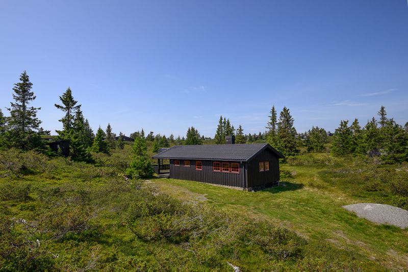 Elgåsen 54