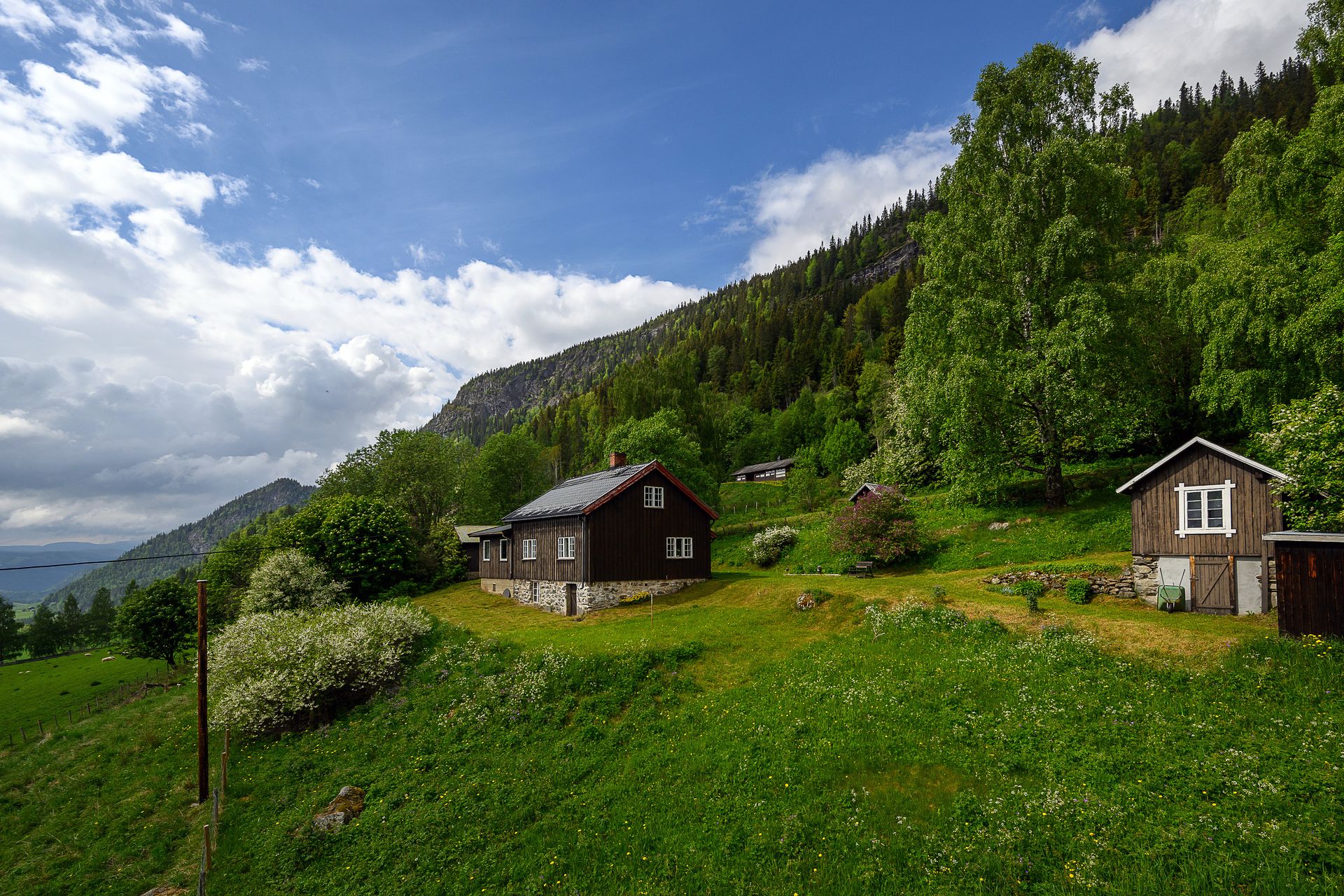 Velkommen til Nordbygdsvegen 487! Foto: Lars Marius Bækkevold. Bilde nummer 1 av 3