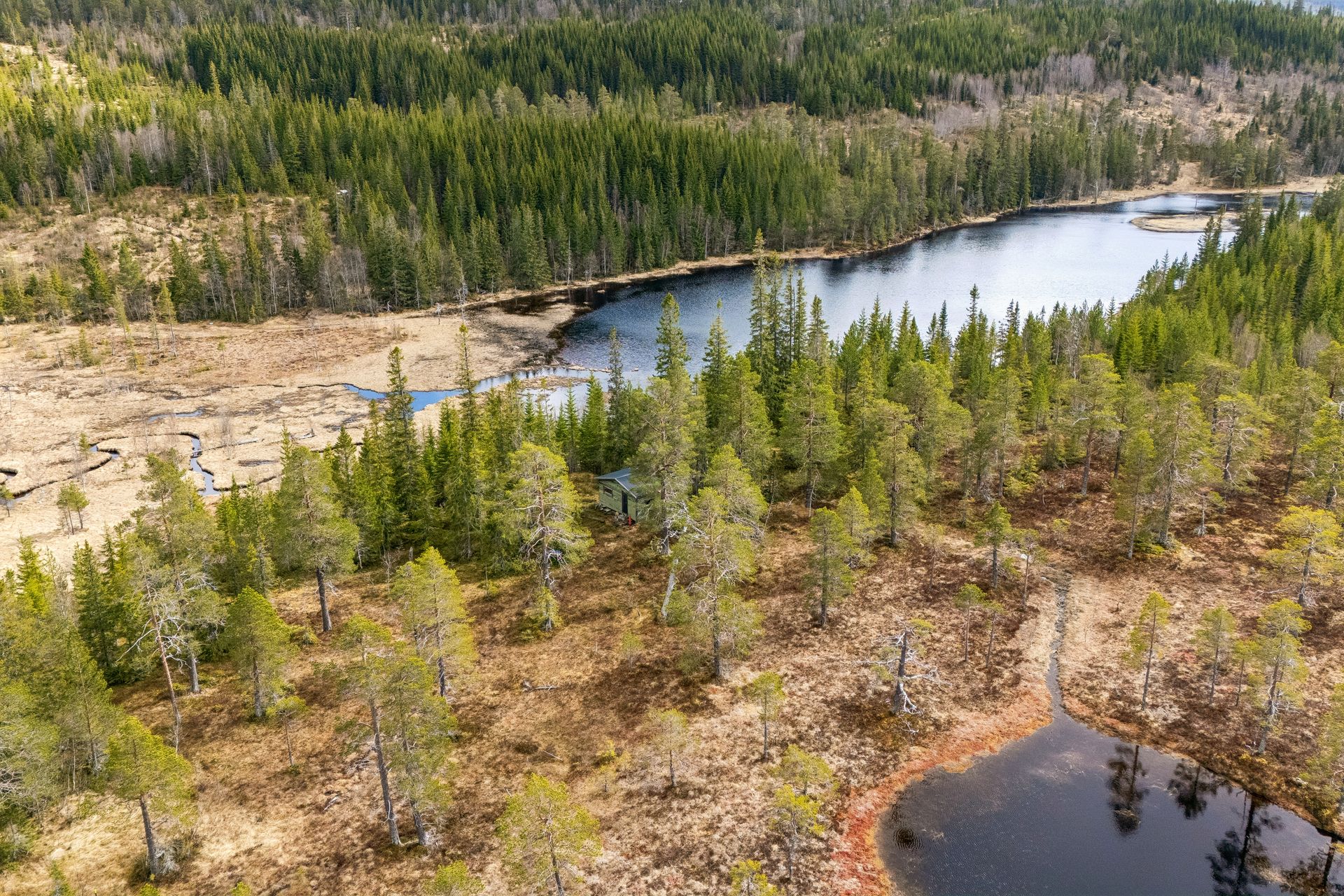 Eiendommen ligger fredelig til i vakre omgivelser med skog, myrterreng og umiddelbar nærhet til Altentjenna og nærliggende vann.. Bilde nummer 3 av 3