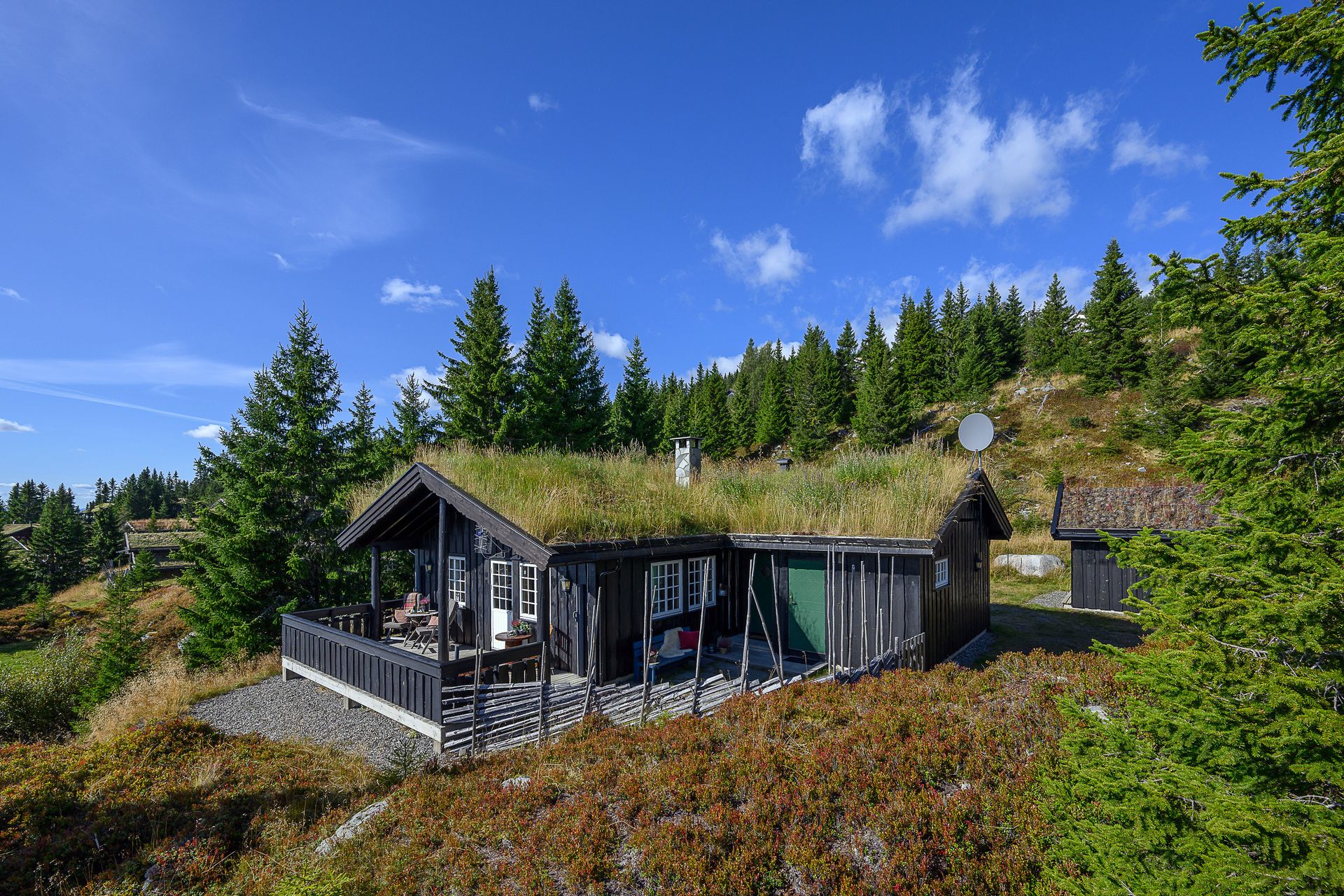Tradisjonsrik familiehytte fra 2003 over ett plan med torvtak, kledd i beiset villmarkspanel.. Bilde nummer 2 av 3