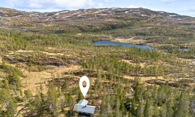 Bilde av eiendommen
