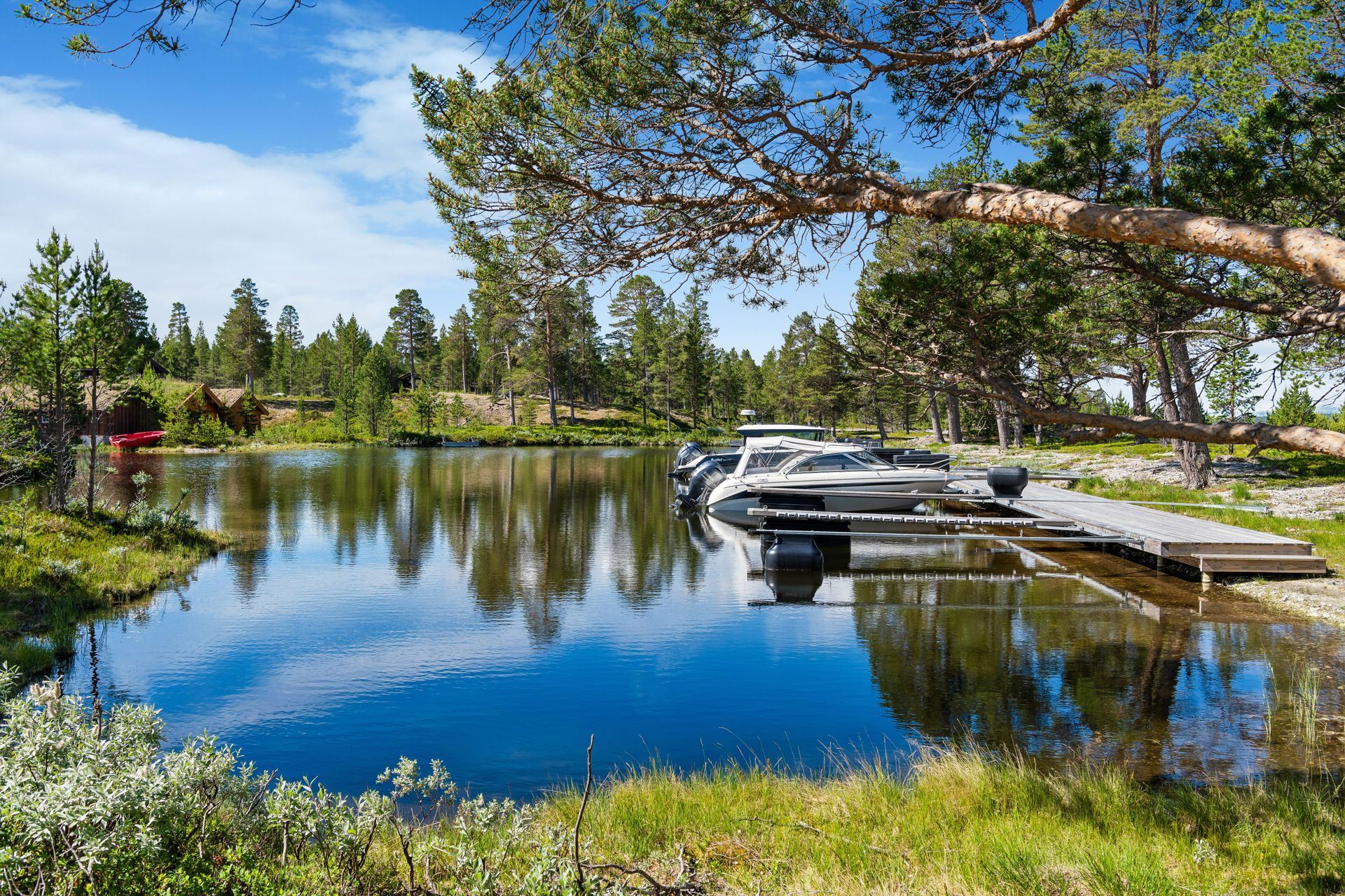Idylliske omgivelser ved Femunden med bryggeanlegg. Det følger med en egen båtplass. . Bilde nummer 3 av 3