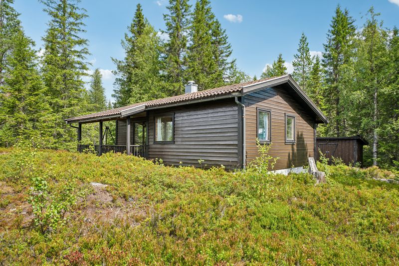 Hemsangvegen 116