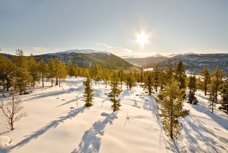 Bringsfjellet Panorama