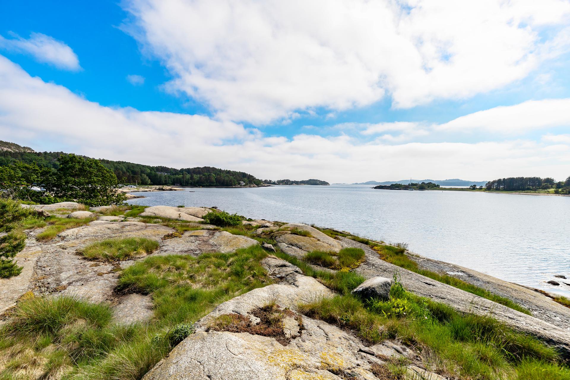 Benytt gjerne kyststien eller gjør et besøk på Galleri Flood. Vesterøya har mange spennende opplevelser å by på.. Bilde nummer 3 av 3