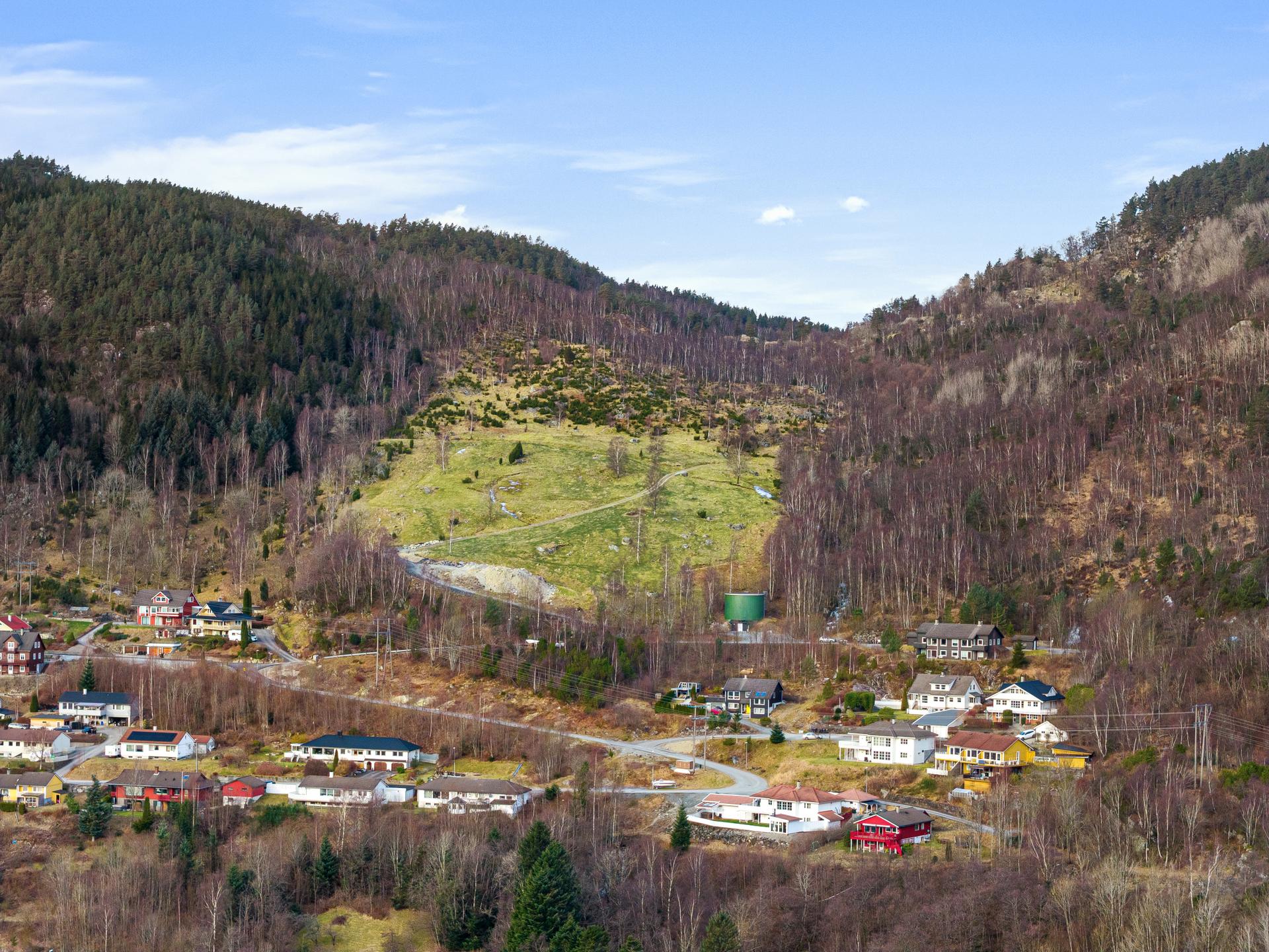Innmarksbeite beite ligger inntil skogen, et stykke fra den dyrkede marken..jpg. Bilde nummer 3 av 3