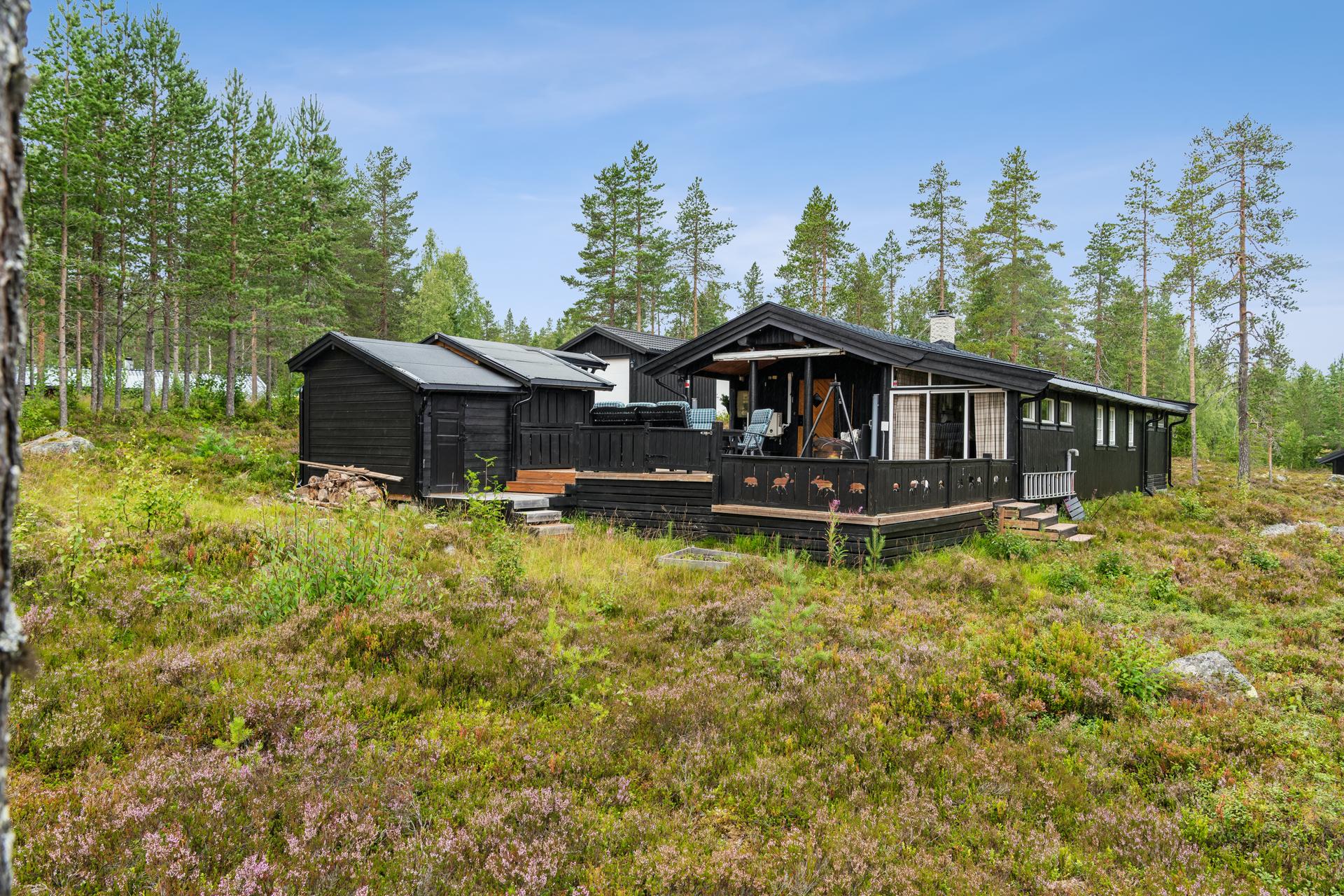 Velkommen til Bjønnbekkmora Hytteområde 71! Foto: Johan Anderson for EFKT Norge. Bilde nummer 1 av 3