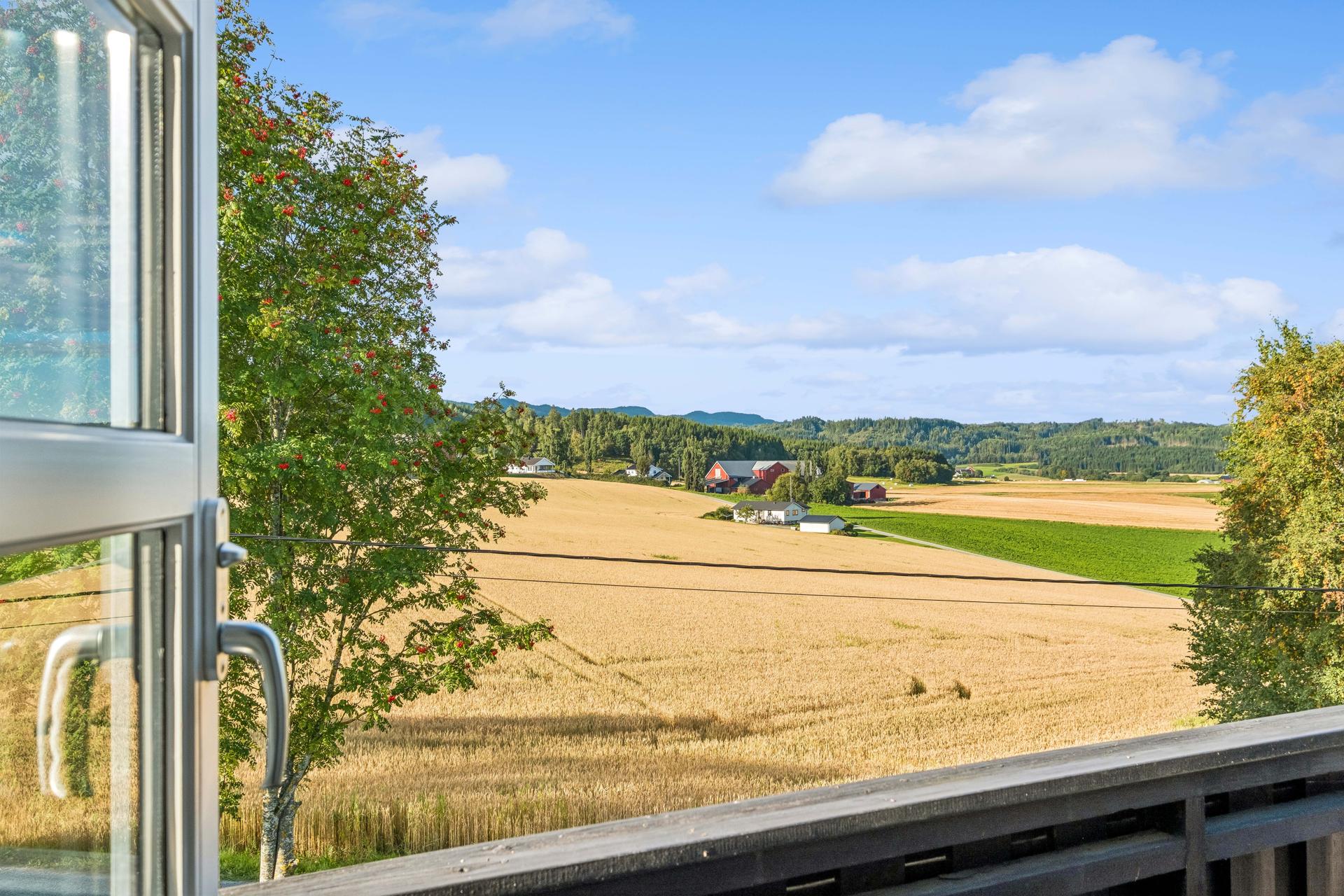 Her bor du tett på naturen, med turstier langs Levangselva og historiske Munkeby klosterruiner i nærområdet.. Bilde nummer 3 av 3