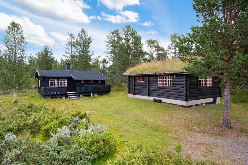 Lusetervegen 262