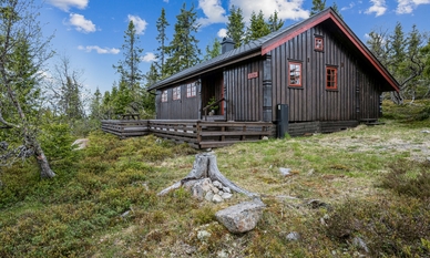 Bilde av eiendommen