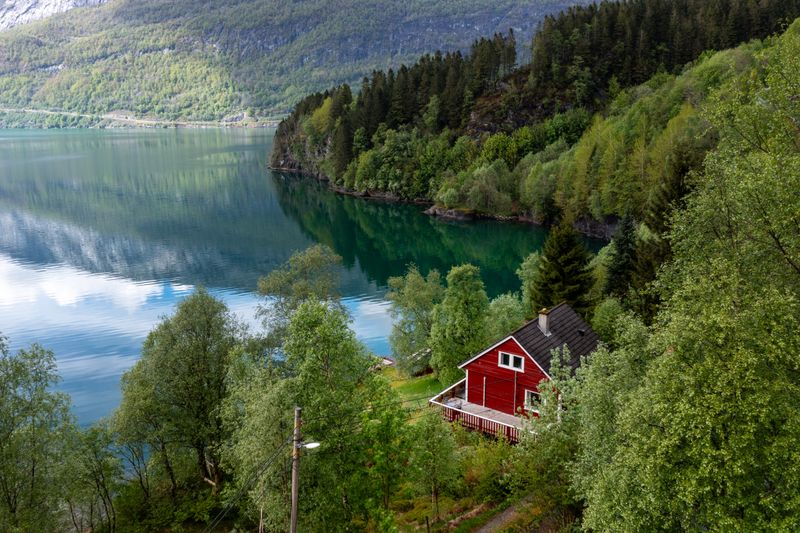 Bortnheimsvegen 49