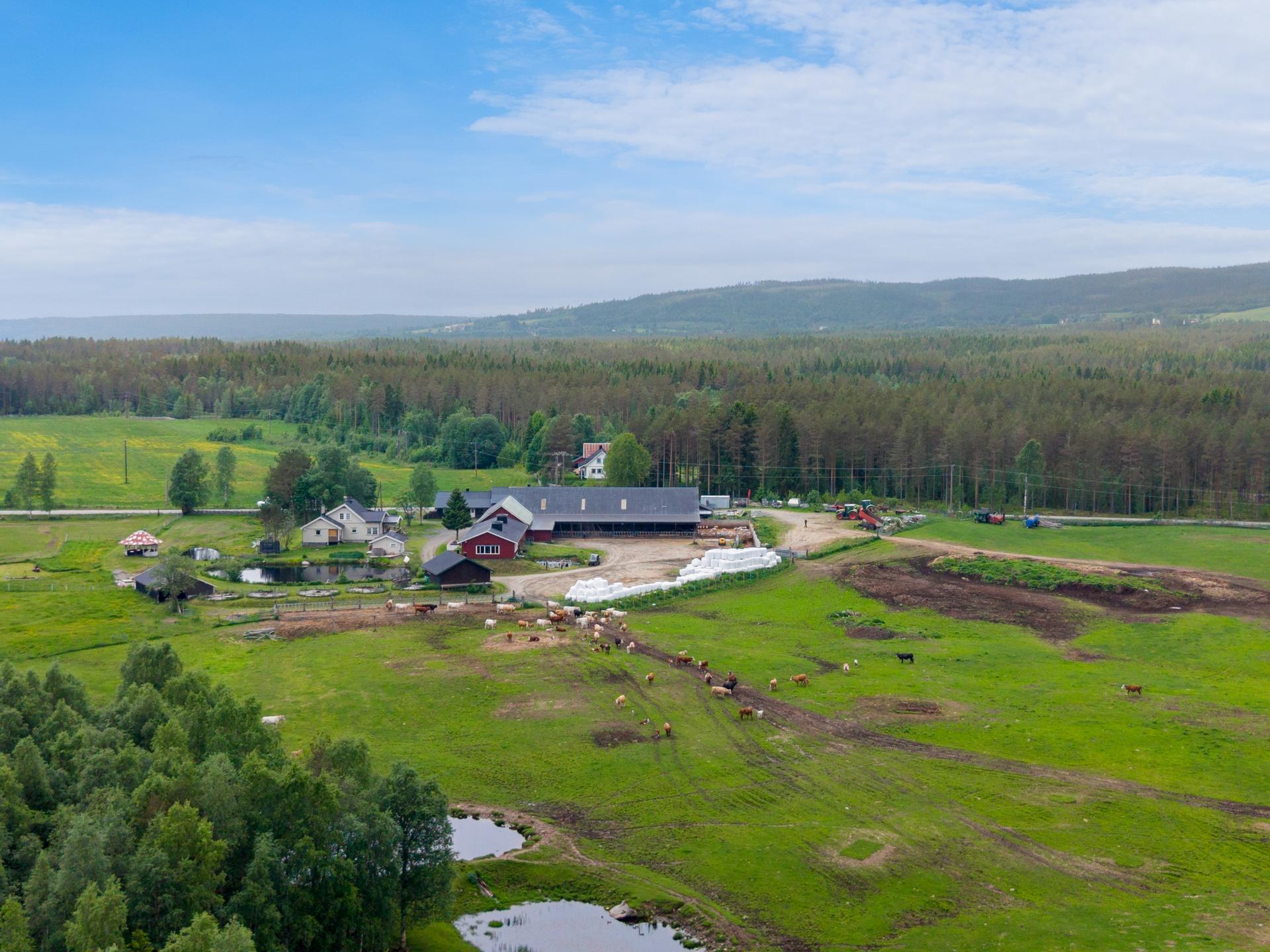 Eiendommen på ca. 480 dekar er i full drift, og byr på en unik kombinasjon av dyrehold, stillhet og nærhet til naturen.. Bilde nummer 2 av 3