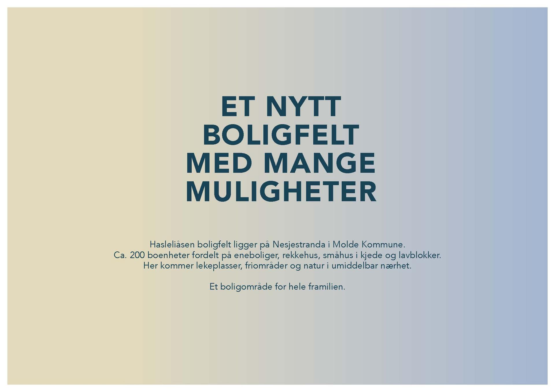  Bilde nummer 2 av 3