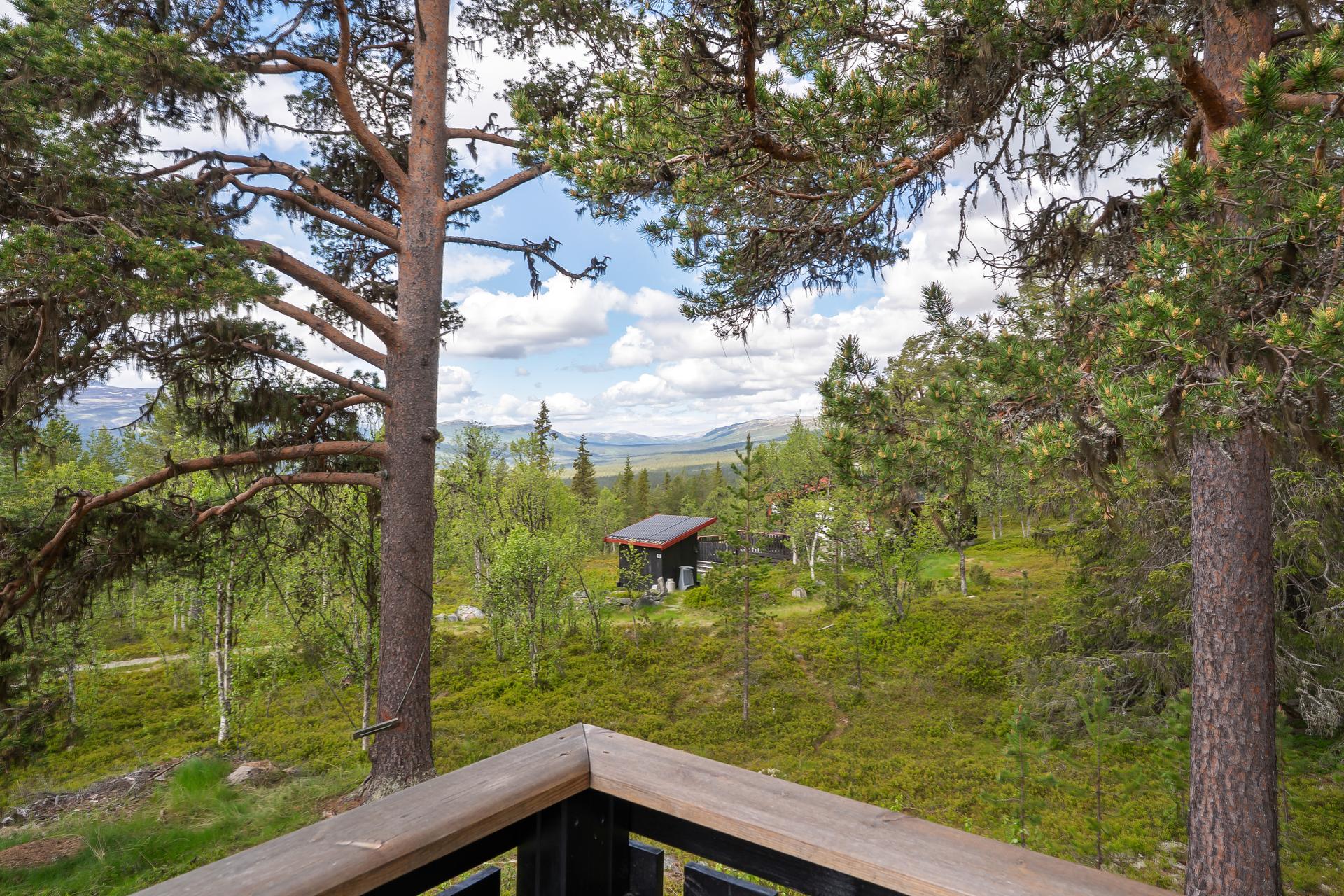 Utsikt over skogkledde åser og fjell.. Bilde nummer 3 av 3