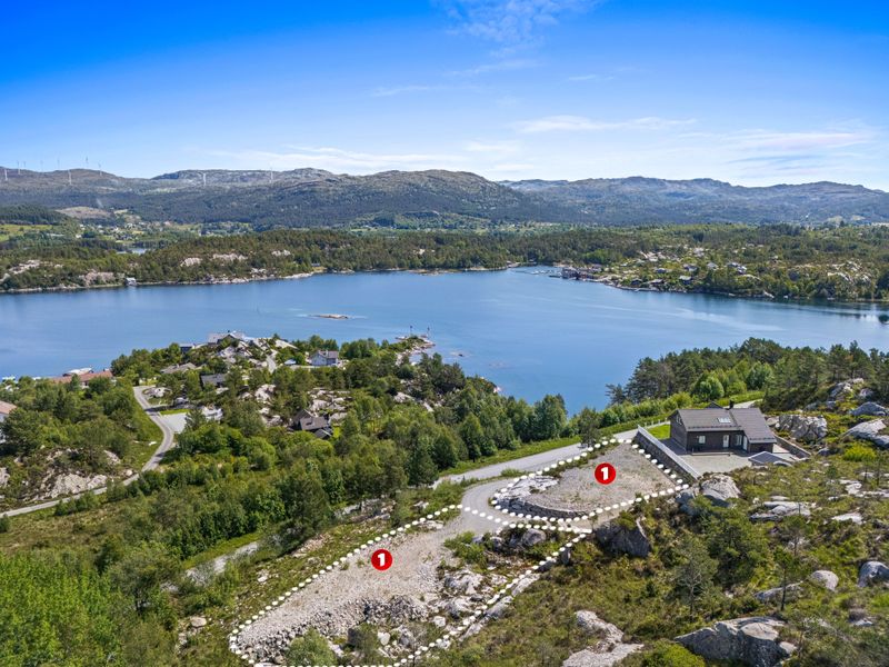 Grønasildro