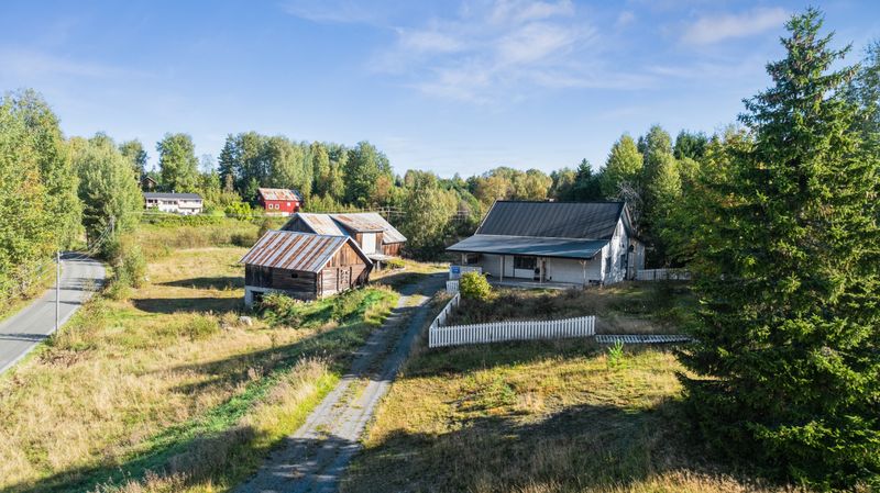 Furuknappen 284