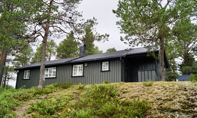 Bilde av eiendommen
