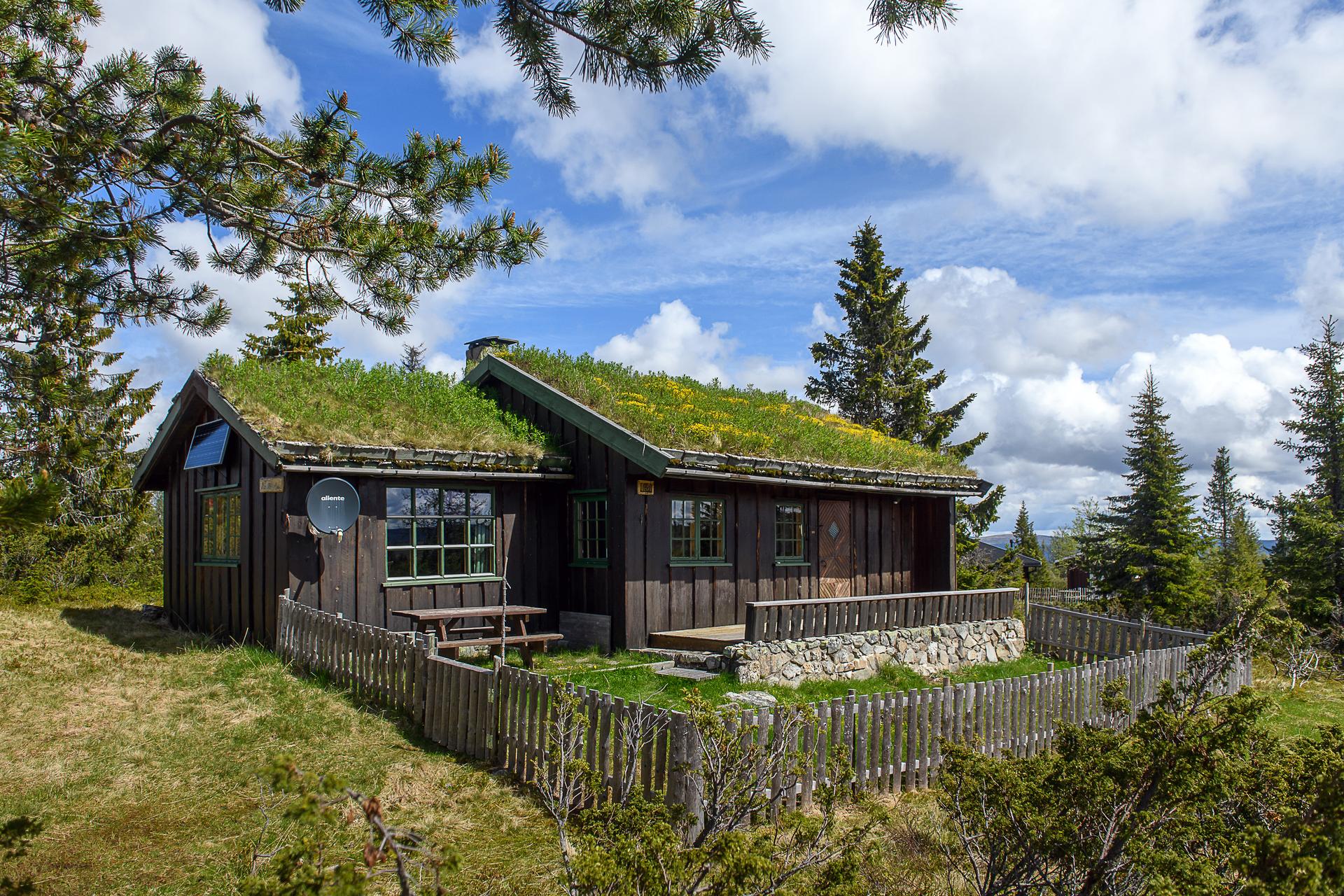 Velkommen til Elgåsen 168! Foto: Lars Marius Bækkevold. Bilde nummer 1 av 3