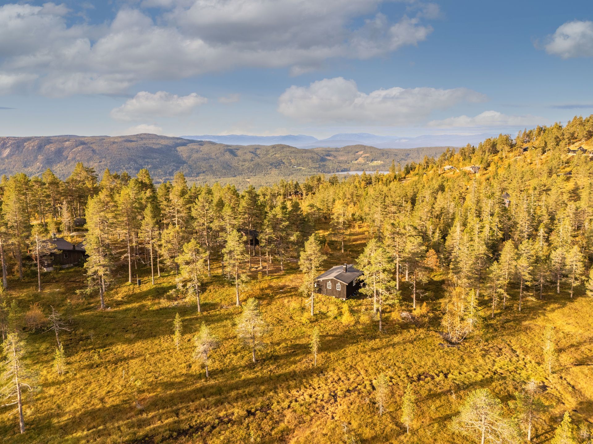 På vinterstid passerer skiløypene rett nord for hytta. Bilde nummer 3 av 3