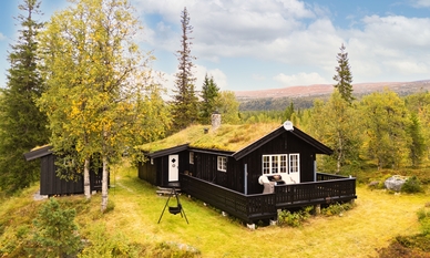 Bilde av eiendommen