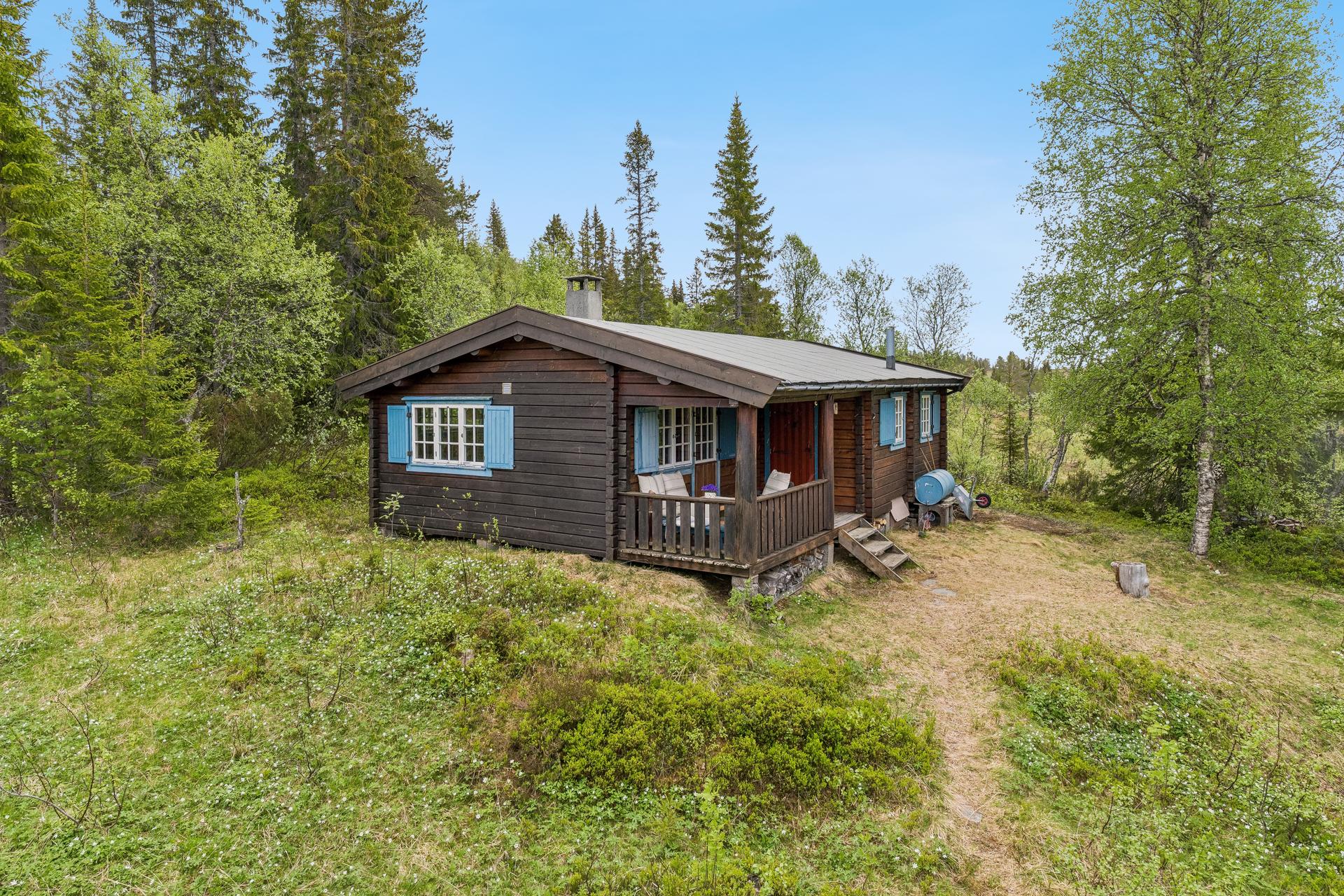 Hytte omgitt av natur og uten naboer i nærheten.. Bilde nummer 2 av 3