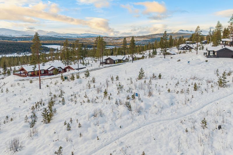 Tiurlitoppen 13