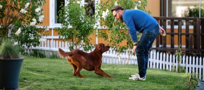 Foto av en mann og en hund i en hage. Mannen holder en ball i hånden bak ryggen. 