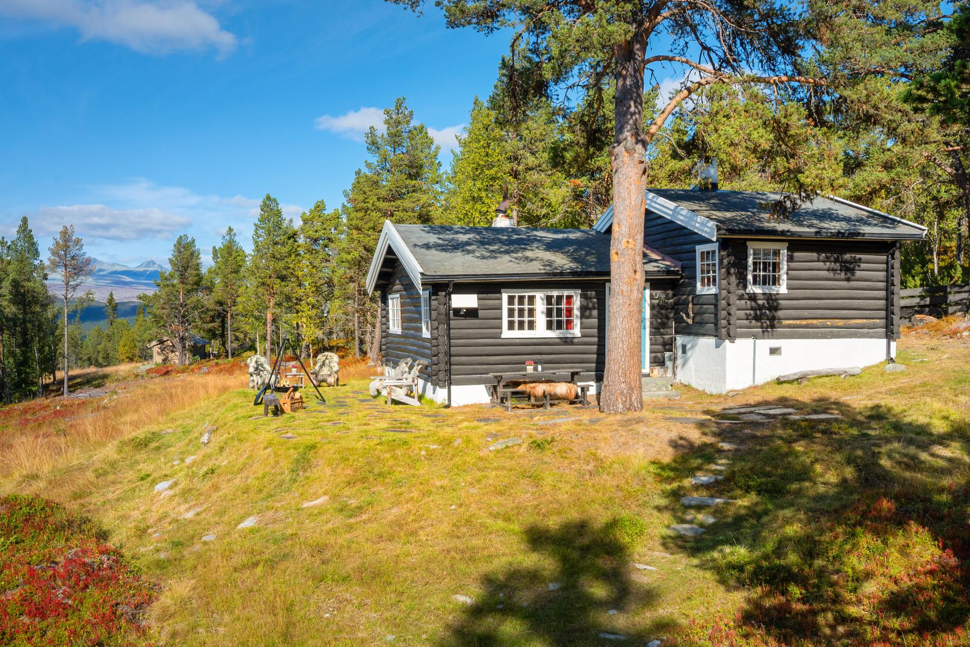Eiendomsmegler 1 v/Anders Øium presenterer Sukkertoppråket 97! Foto: Ivar Flagestad. Bilde nummer 1 av 3