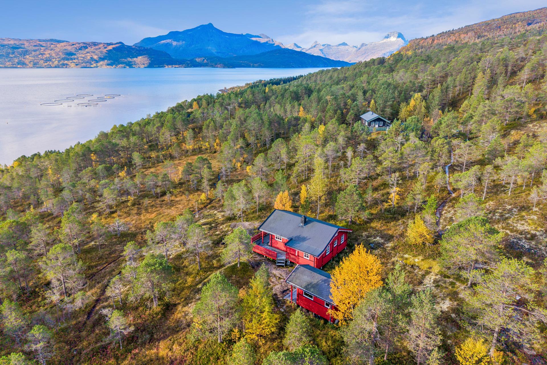 Dronebilde over området. Bilde nummer 3 av 3