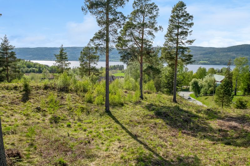 Vannverksvegen 1