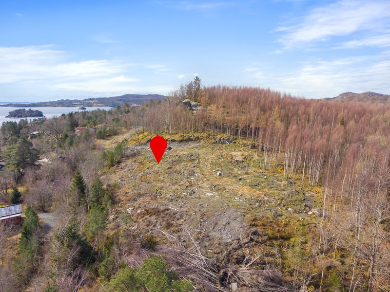 Byre, Lauvåsen bnr. 49