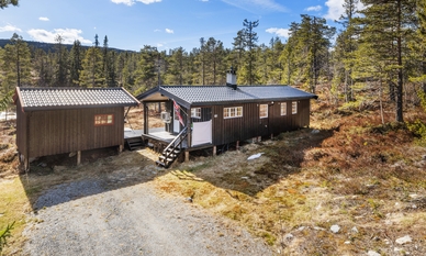 Bilde av eiendommen