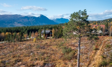 Bilde av eiendommen