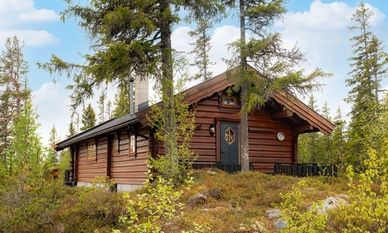 Bilde av eiendommen
