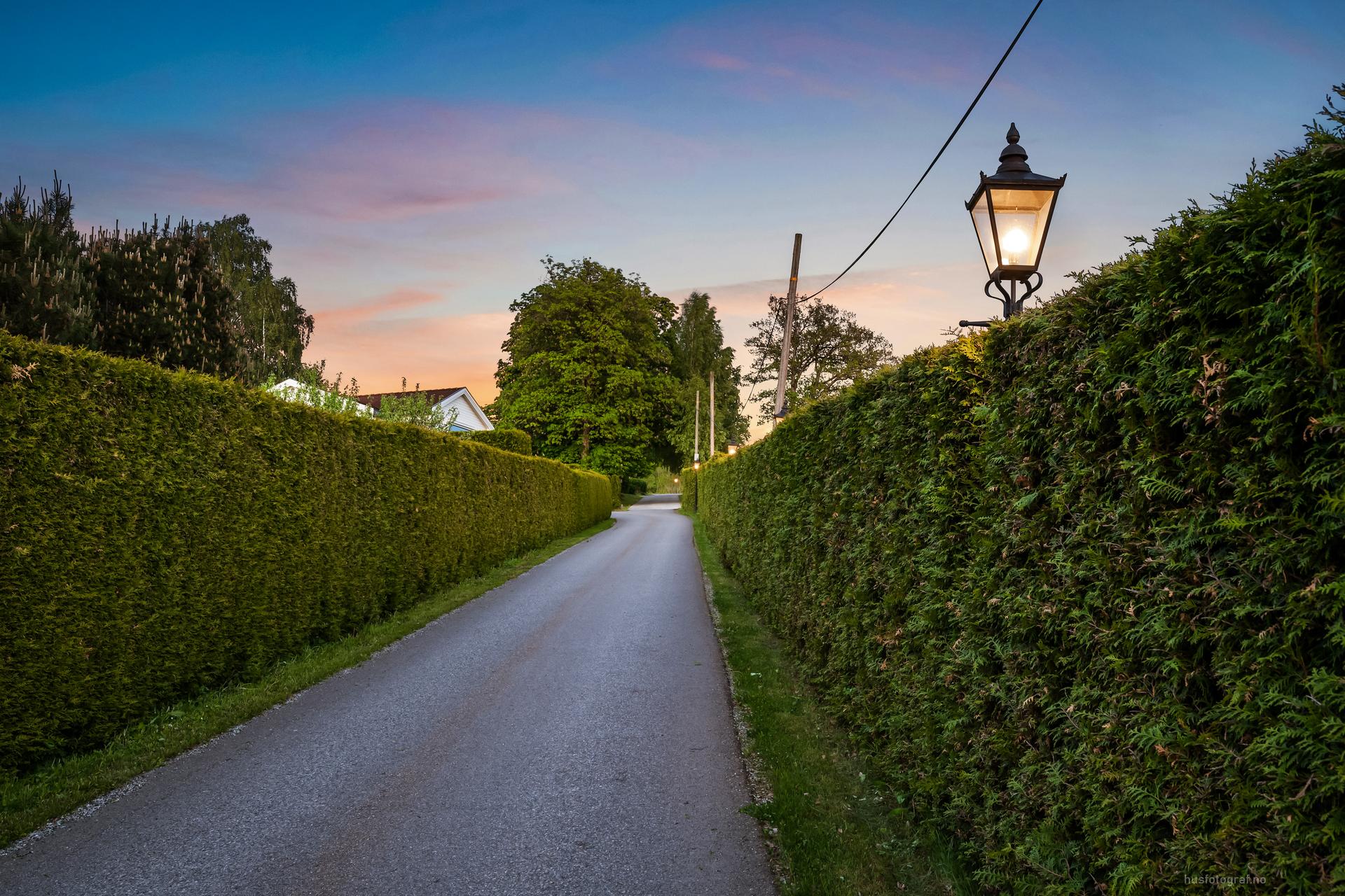 Tomten ligger i et attraktivt og veletablert nabolag med eneboliger, i et trygt og barnevennlig område. Adkomst via en hyggelig allé opp til eiendommen.. Bilde nummer 3 av 3