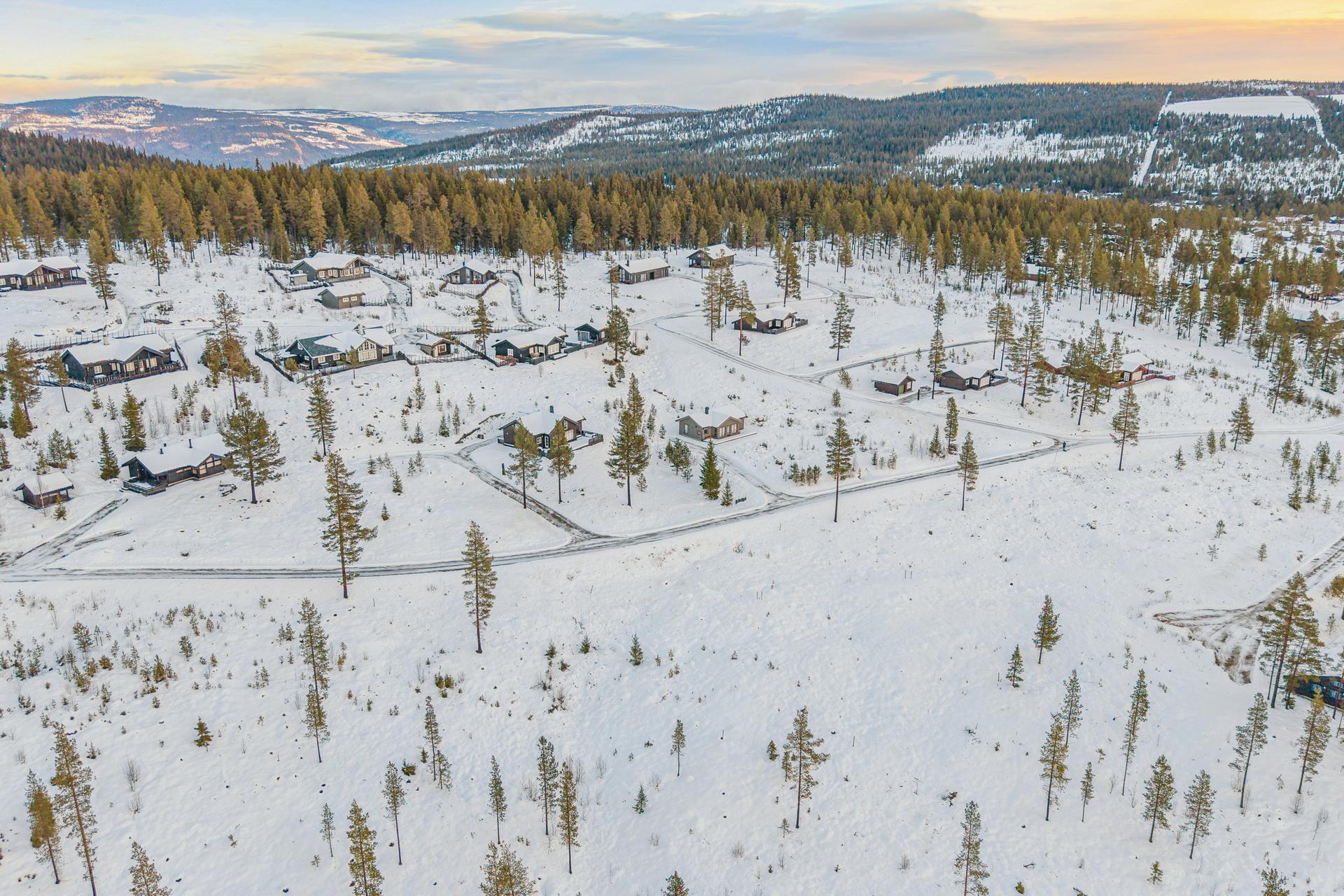 Tomten ligger i et etablert og attraktivt hytteområde på Gålå. Foto: Efkt/Håkon Rybakken.. Bilde nummer 2 av 3