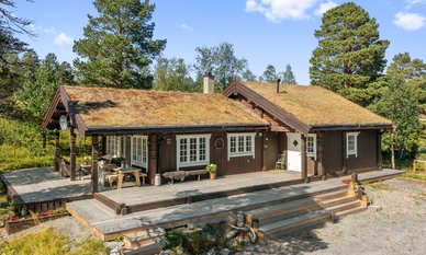 Bilde av eiendommen