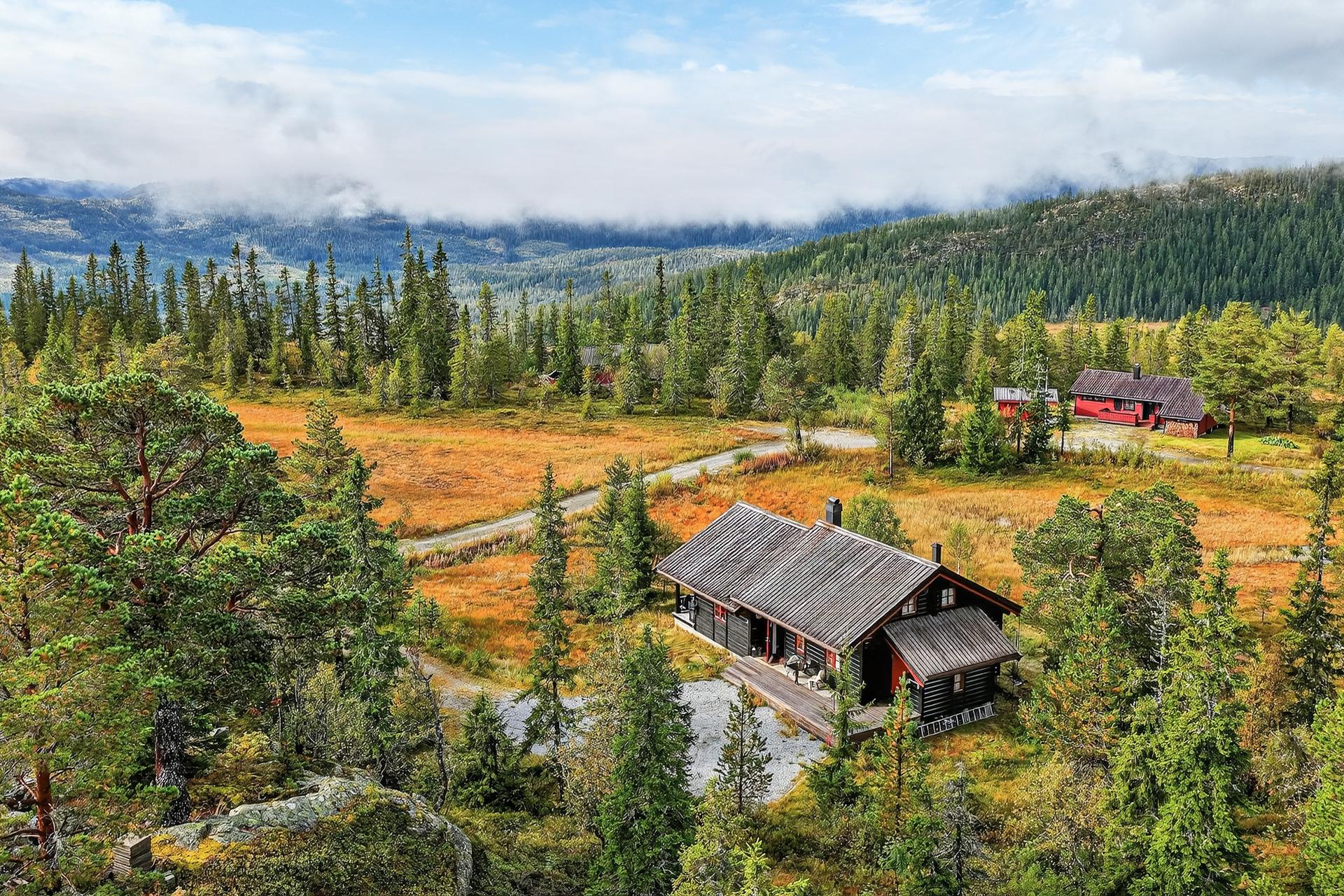 Hytta har en solfylt og naturskjønn beliggenhet i Lønnåsvegen i Tuddal ca. 856 moh. på «Solsiden av Gaustatoppen»! . Bilde nummer 2 av 3