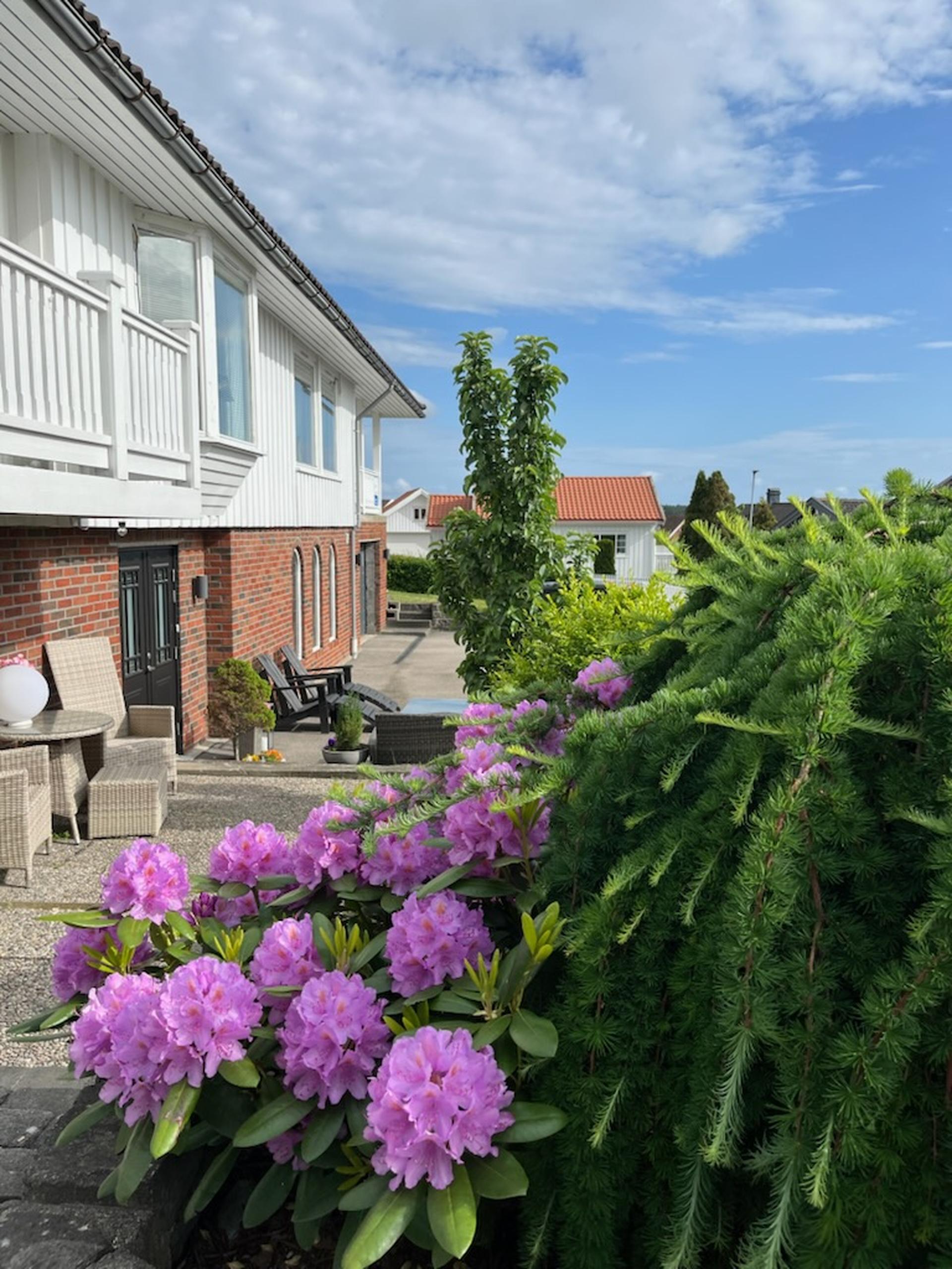Fin beliggende og med pent opparbeidet hage og skjermede uteplasser.. Bilde nummer 2 av 3