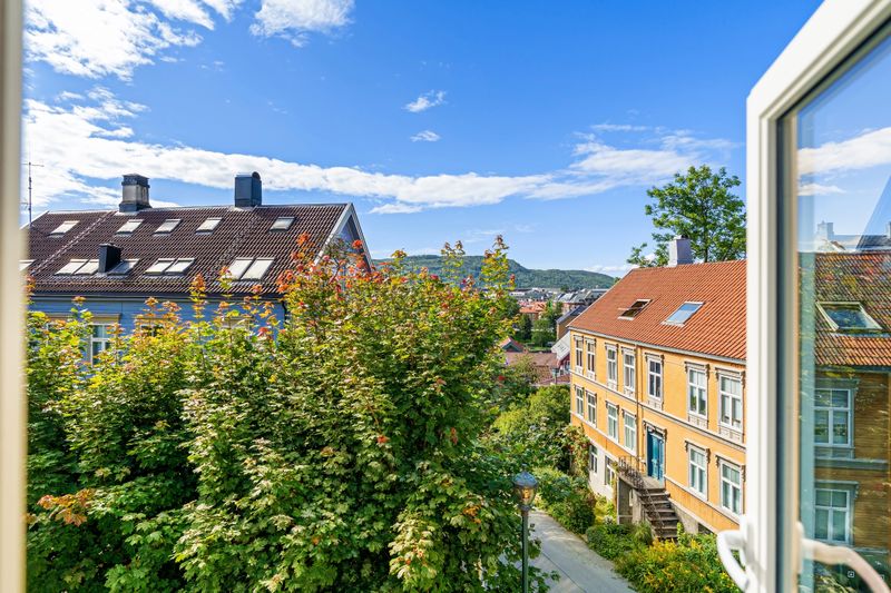 Brinken 8