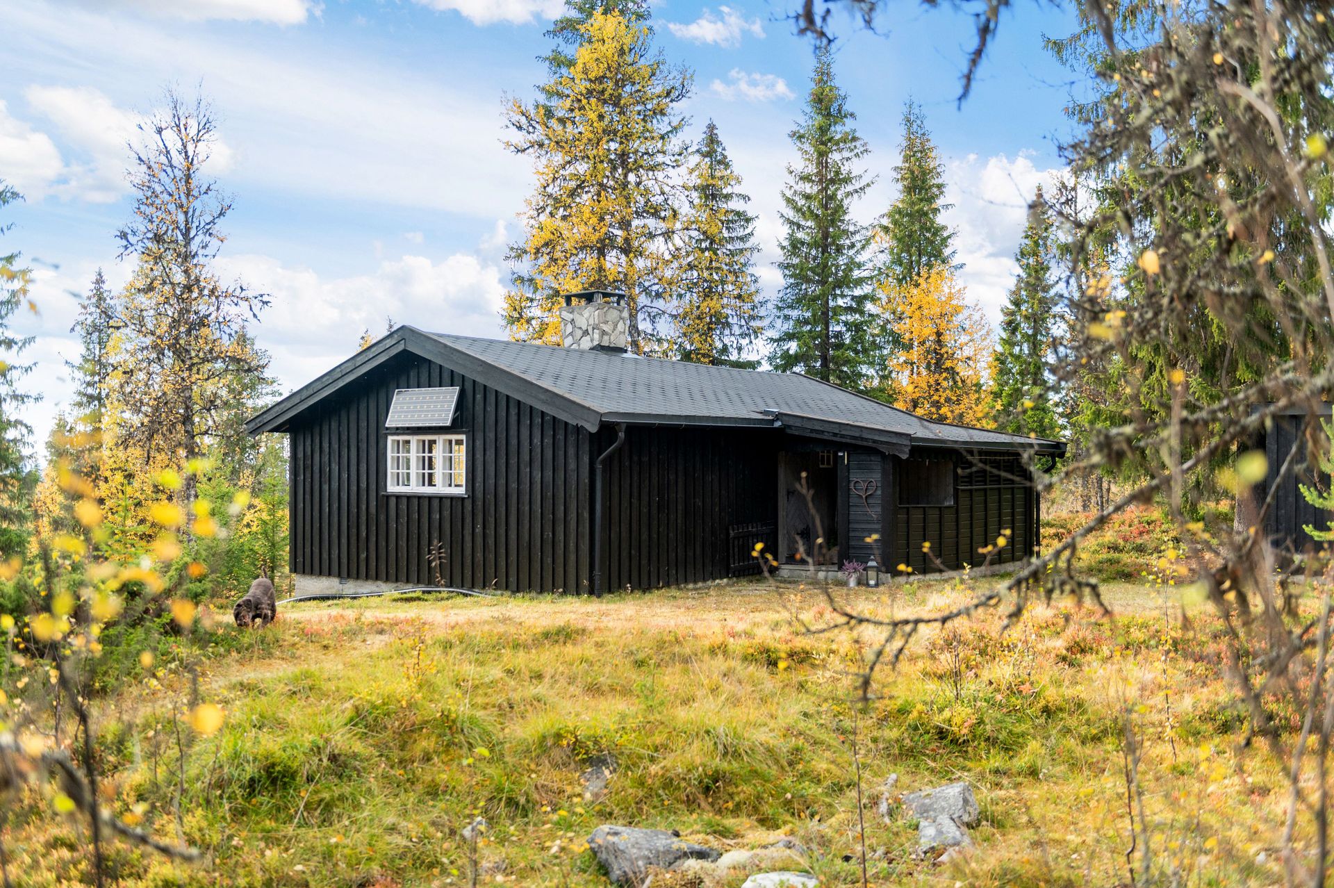 Fritidsboligen har solcelleanlegg montert på ytterveggen og preparerte skiløyper like i nærheten.. Bilde nummer 3 av 3