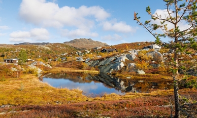 Bilde av eiendommen