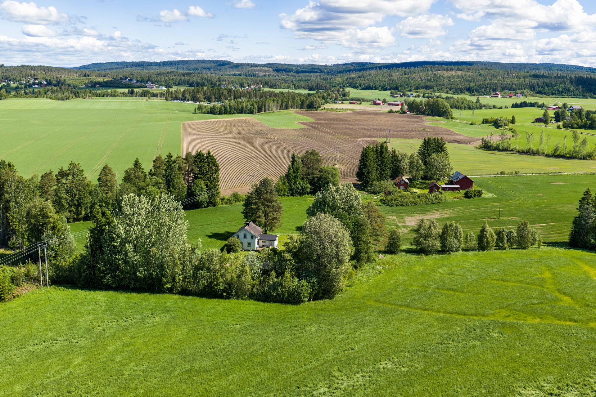 Velkommen til Østamovegen 32 Og 38! Foto: EFKT (Ole Kaldal). Bilde nummer 1 av 3