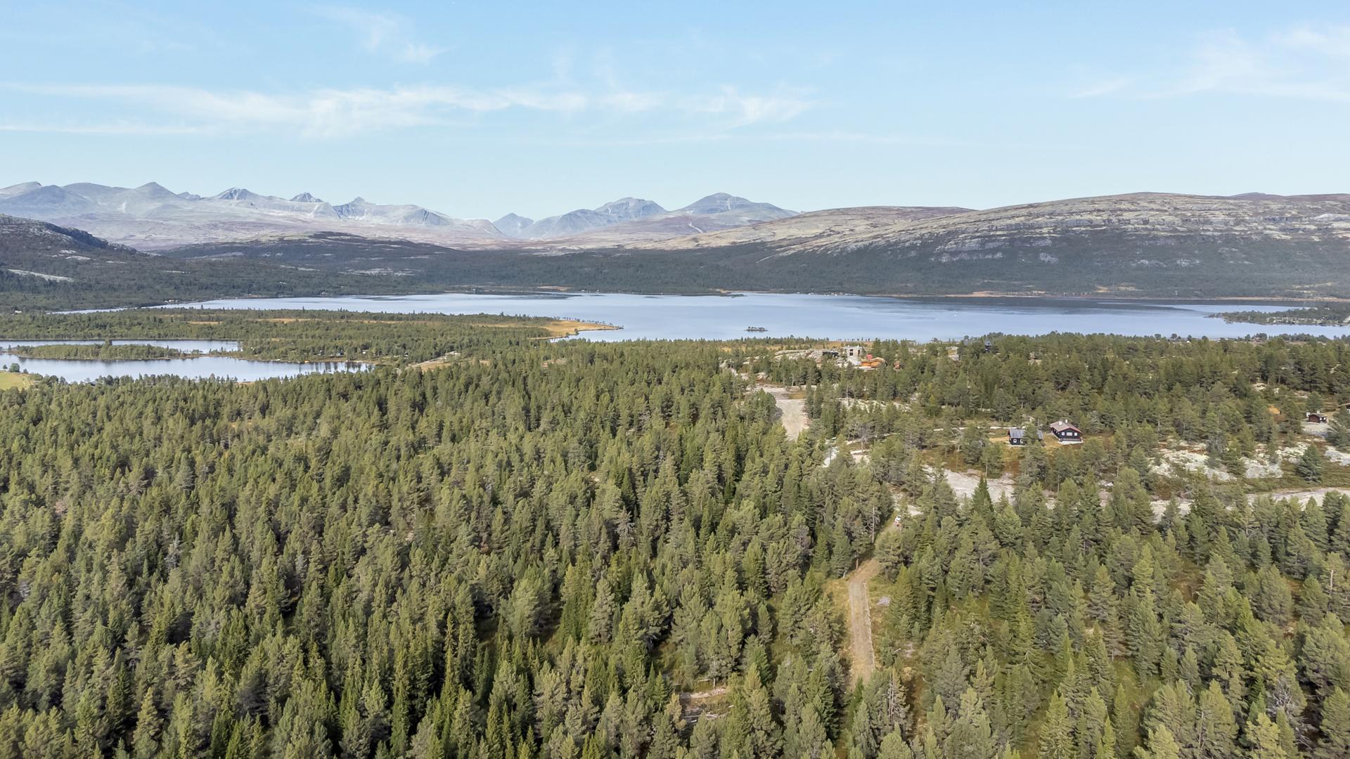 Velkommen til Vålåsjøvegen 81 - Tomt som ligger fint og usjernert til på Kvamsfjellet.. Bilde nummer 1 av 3