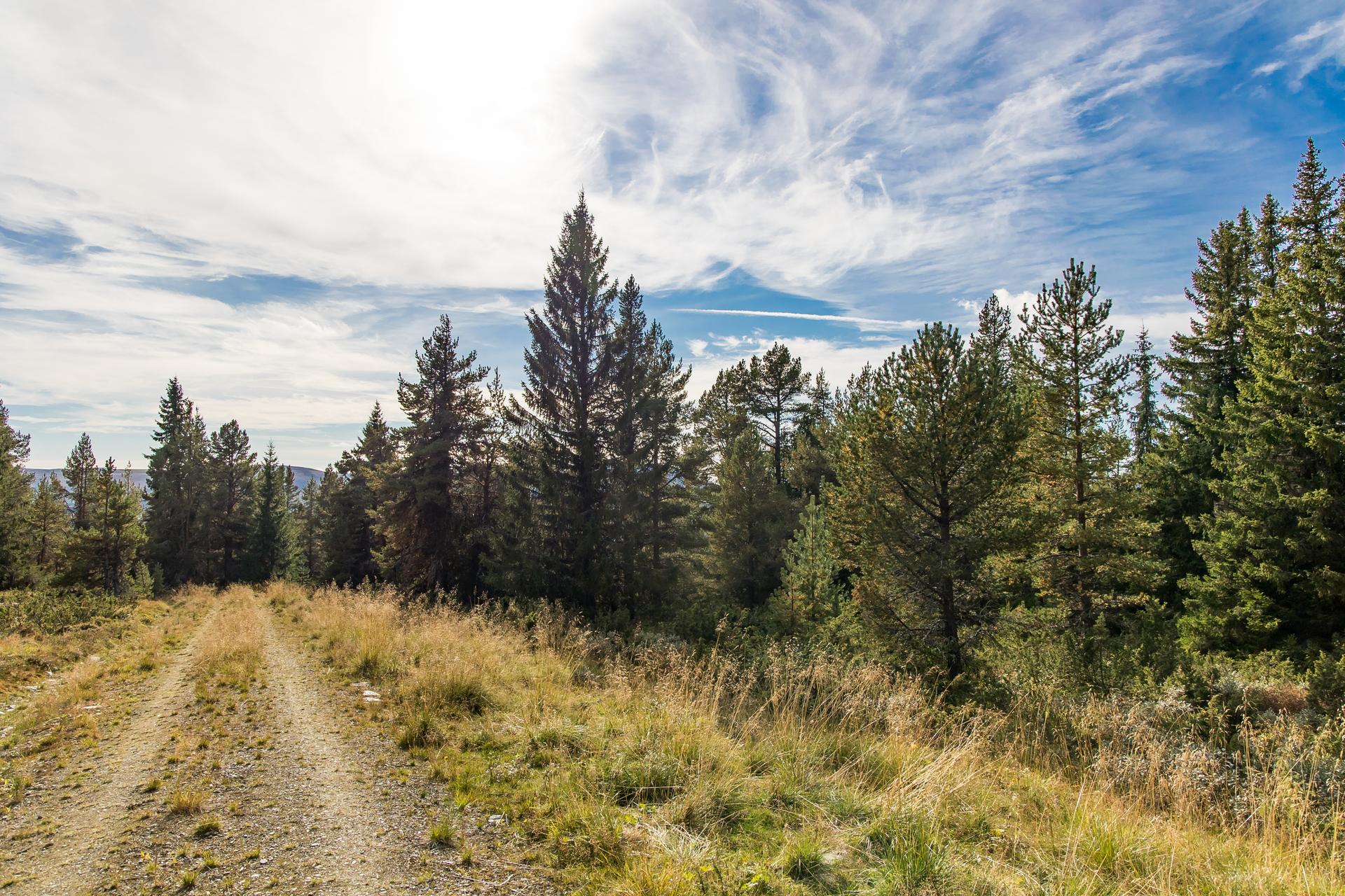 Tomten ligger fint og usjenert til i Vålåsjøvegen på Kvamsfjellet, som ligger i Nord-Fron kommune.. Bilde nummer 2 av 3